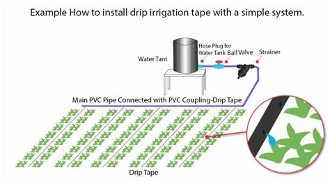 Garden Drip Tape Irrigation | Fasci Garden