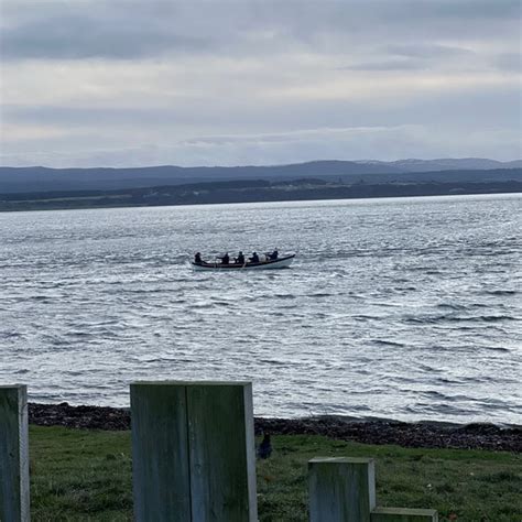 Chanonry Point - Beach