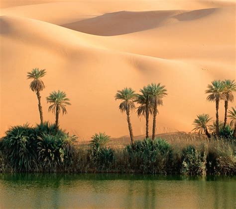 Un Oasis en el Desierto