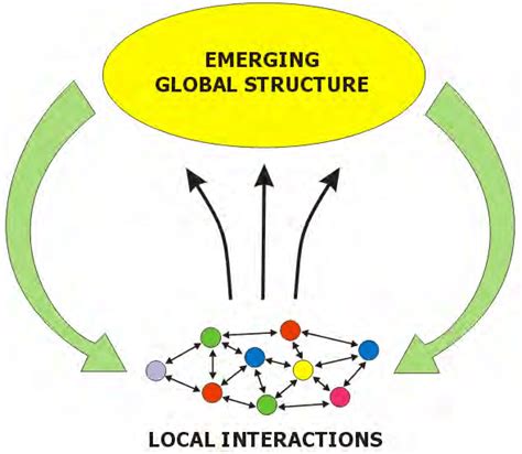 1 The principle of emergence, a hallmark of complexity (Adapted from ...