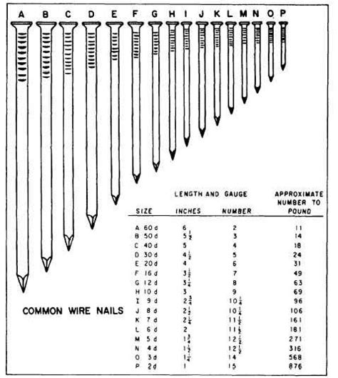 Nail Penny Size Chart