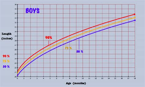 Baby Growth Chart and Percentiles To See What is Tall for a Baby.