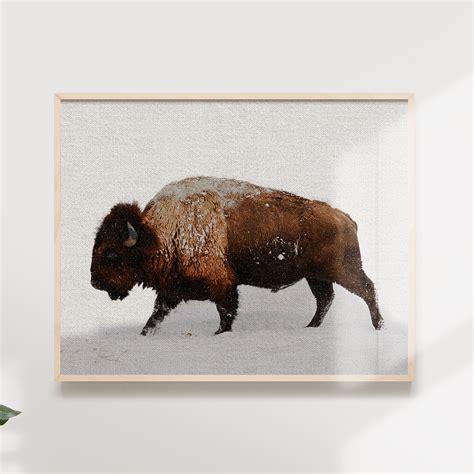 "Buffalo in Snow" Wilderness and Animal Photography Modern Large Wall Art