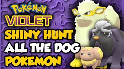 Shiny Hunting Dog Pokemon (with Shiny Charm) - Pokemon Scarlet and ...