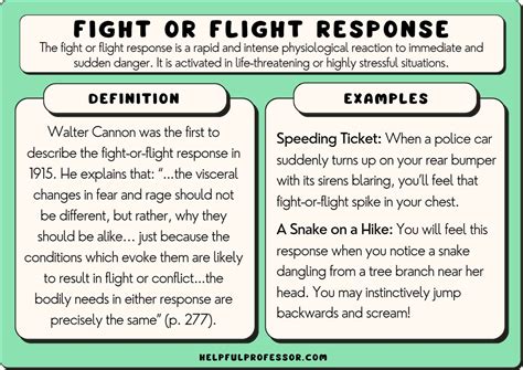 Fight or Flight Response (Psychology) – 15 Examples (2024)