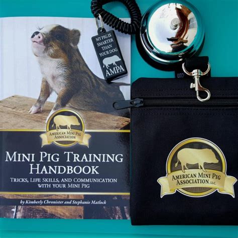 Mini Pig Training Handbook - American Mini Pig Online Store