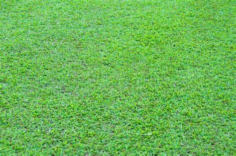 Premium Photo | Football field green grass pattern textured background ...