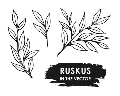 Twig Vector Art, Icons, and Graphics for Free Download