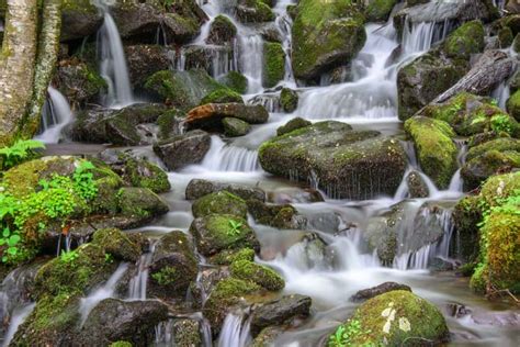 A Jewel of a Waterfall - Great Smoky Mountains National Park