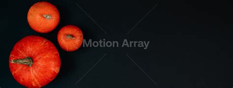 Find the Perfect Facebook Halloween Cover Photo | Motion Array