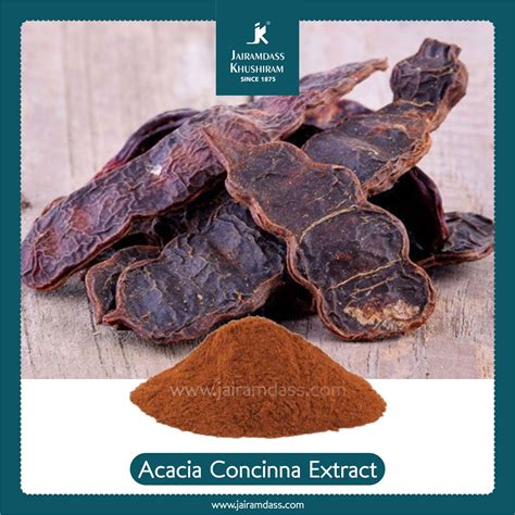 Acacia Concinna Extract | Shikakai Extract | Herbal Extracts