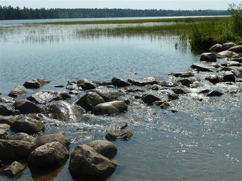 Lake Itasca and the headwaters of the Mississippi River | River ...