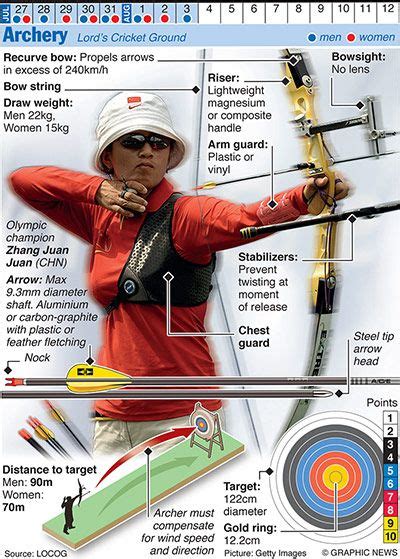 Olympics 2012 in infographics: other sports | Archery, Archery tips, Archery bows