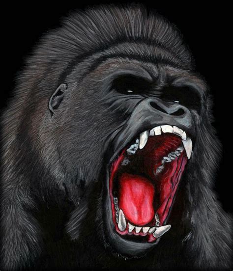 Pin by Kabelo Leshaba on Tatted ideas | Gorilla tattoo, Scary animals, Silverback gorilla