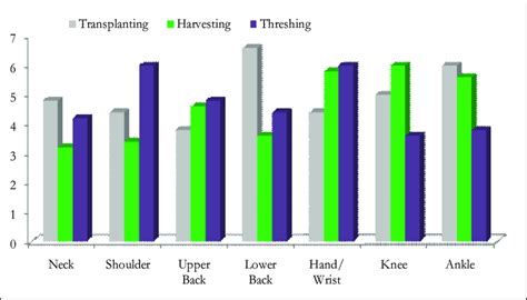 Incidences of pain in different body parts while performing paddy... | Download Scientific Diagram