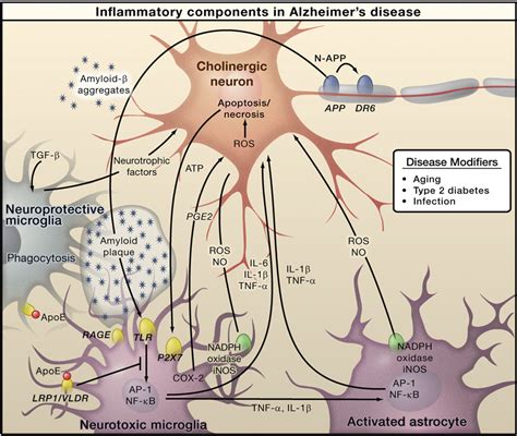 Neurogenic Inflammation | Semantic Scholar