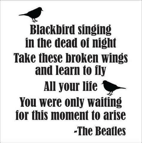 Pin by JR Clark on Song lyrics:) | Beatles song lyrics, Beatles quotes, Beatles songs