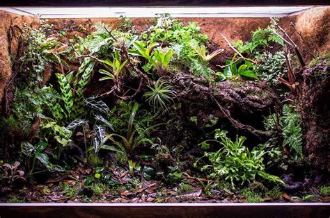 What Is A Vivarium Tank And The Types - hygger