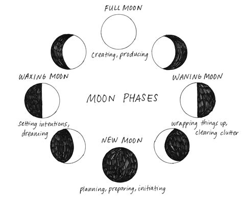 Diagram Simple Diagram Phases Of The Moon