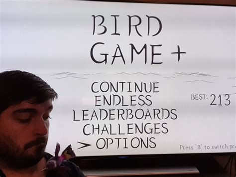 REVIEW: Bird Game+ | LifeisXbox