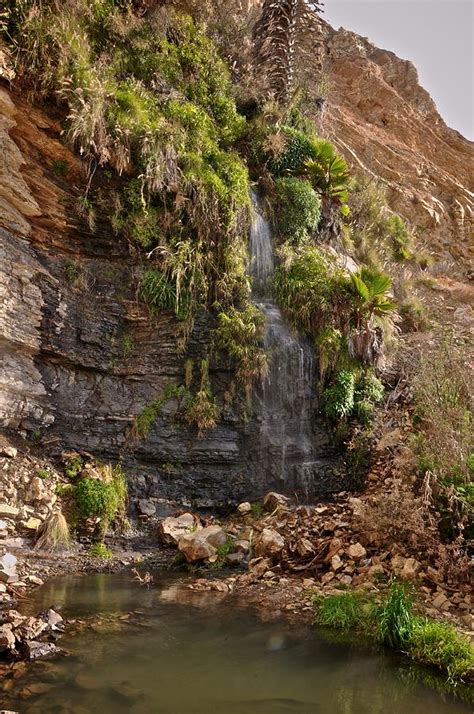 San Pedro Waterfall Photograph by Matt MacMillan - Fine Art America