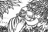Disney Jungle Book Coloring Pages sketch template