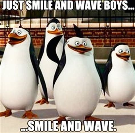 Penguins Of Madagascar Memes We Did It Boys - Photos Idea