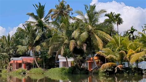 Kerala Backwaters : r/india