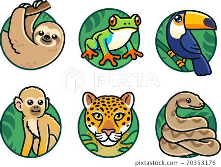 Cartoon rainforest animals set - 스톡일러스트 [70353178] - PIXTA