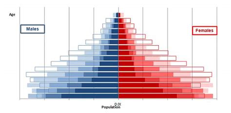 Types of Population Pyramids | Planning Tank®