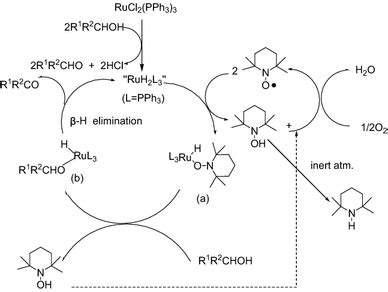 Proposed mechanism for the Ru/TEMPO-catalyzed aerobic oxidation of... | Download Scientific Diagram