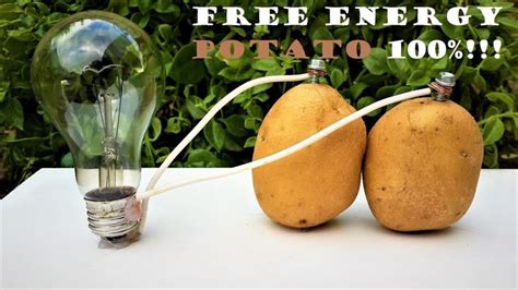 Free Energy Light Bulbs - 220v using Potato - YouTube | Potato science experiment, Potato ...