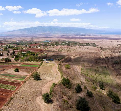 26-Acres Mauka Vista Farms, Kula Maui-Kula Real Estate