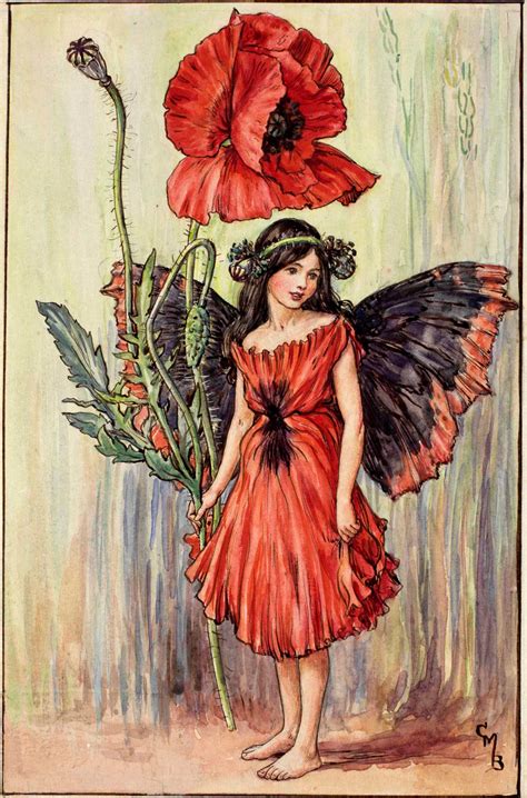 The Poppy Fairy by Cicely Mary Barker | Flower fairies, Vintage fairies, Cicely mary barker