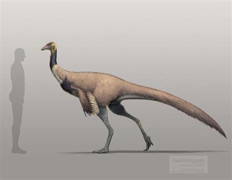 Ornithomimus | Prehistoric Wiki | Fandom