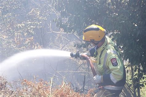 SunLive - Matakana Island fire burning deep underground - The Bay's ...