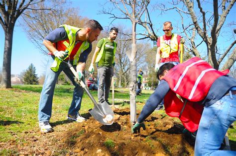 Tree Planting Jobs in Canada (Job Requisites, Costs, Visas, Passports ...