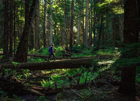 Exploring the Wilds of Priest Lake and the Upper Panhandle | Visit ...