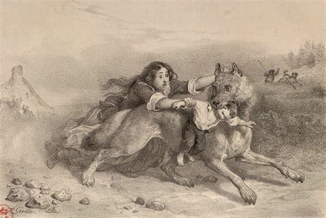 The Beast of Gévaudan (1764–1767) – The Public Domain Review American Lion, Magical Wolf, French ...