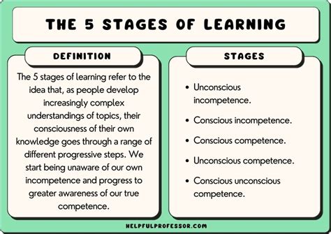 5 Stages of Learning (Levels of Learning Ladder) 2024