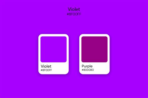 Purple Vs Violet Color