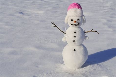 Snowman with carrot nose stock image. Image of sticks - 267139517