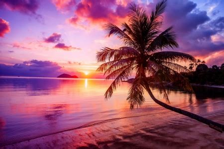 Best Of Tropical Beach Wallpaper Waterfall Sunset images