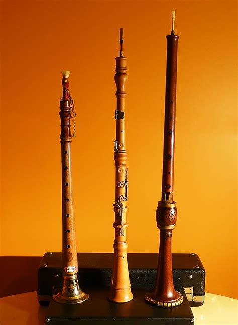 What Is Reed Instrument at Casey Madison blog