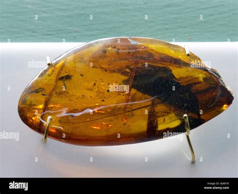 Amber Museum, Puerto Plata, Dominican Republic Stock Photo - Alamy