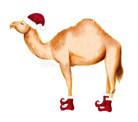 Winter Happy Camel in Santa Hat and Shoes. Christmas Design for Cards, Backgrounds, Fabric ...