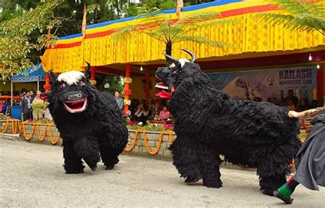 Folk Dance of Sikkim – 9 Best Traditional Music and Folk Dances – Trip ...