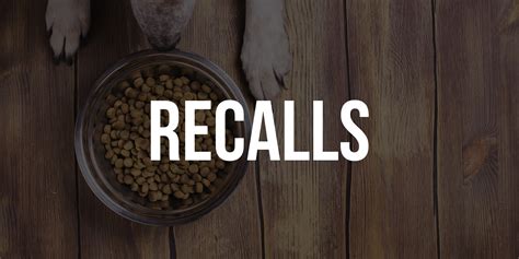 Recalling Dog Food Recalls: How and Why They Happened – Woof Whiskers