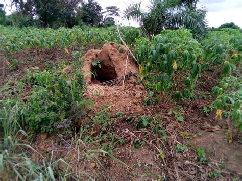 For Sale: Very Large And Massive Acres Of Land, Off Lusada-igbesa Road ...