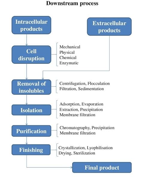 Downstream processing and its steps - Microbiology Notes